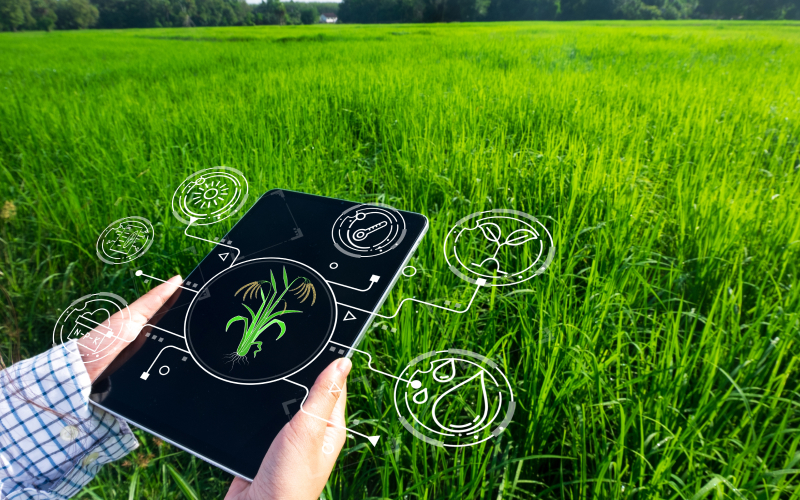 Profesional de agricultura con un dispositivo móvil