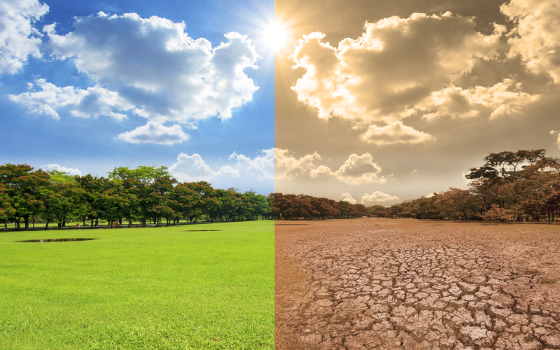 ¿Cómo el desarrollo sostenible contribuye a frenar el cambio climático ...