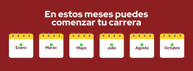 perfil y funciones de un contador